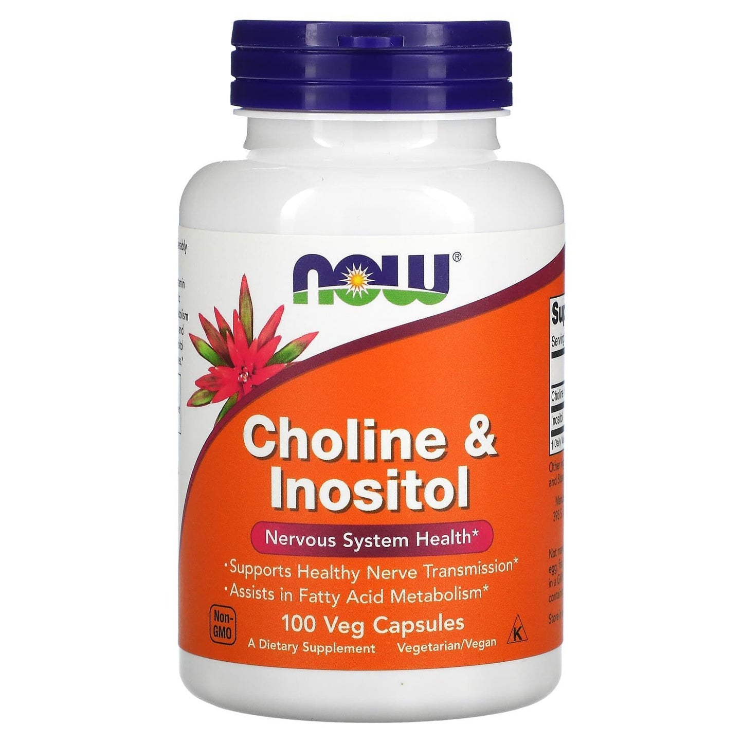 NOW Choline &amp; Inositol, 100 capsules