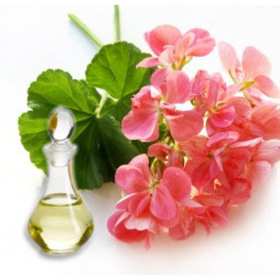 Geranium - geranium essential oil 10ml.