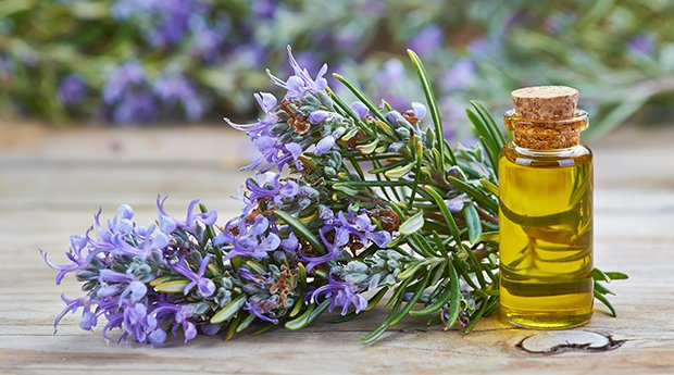 Rosemary essential oil 10ml.