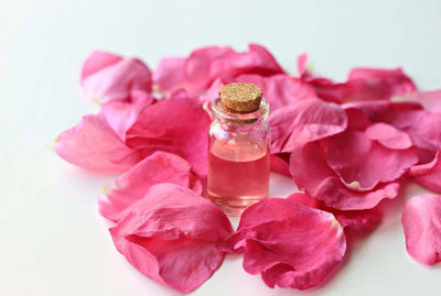 Rose (Gallica) essential oil 5ml.