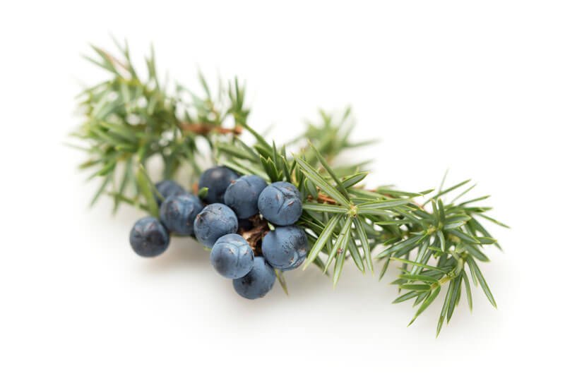 Juniper essential oil 10ml.