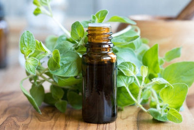 Oregano essential oil 5ml.