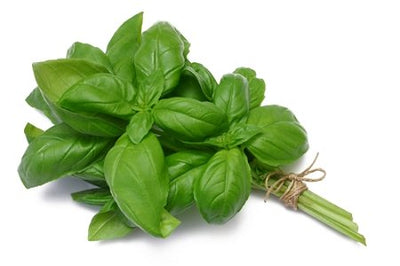 Basil essential oil 5ml.