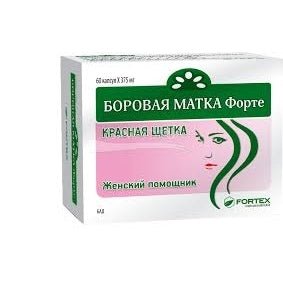 BOROVAJA MATKA FORTE, 60 kapsulių po 375mg kaina